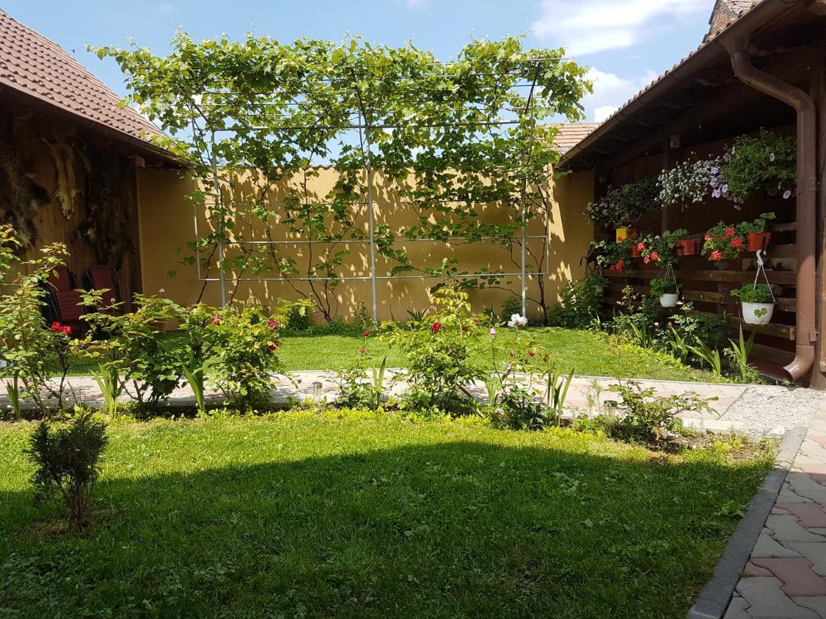Casa Ovesia Villa Săcele Exterior photo